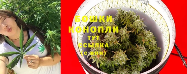 Альфа ПВП Рославль